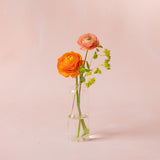 Bud Vase | Bright