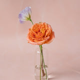 Bud Vase | Bright