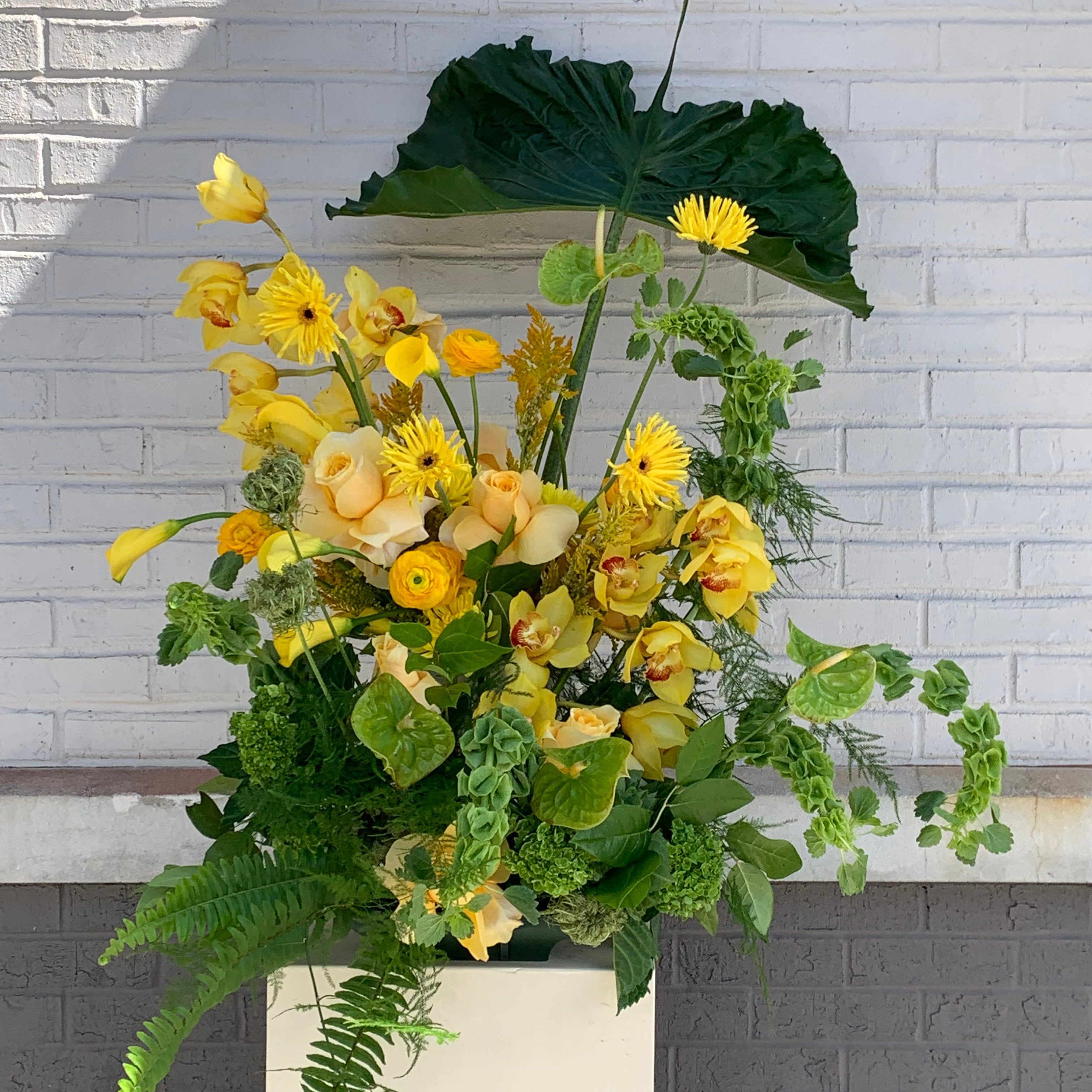 Aston Martin Heart of Racing