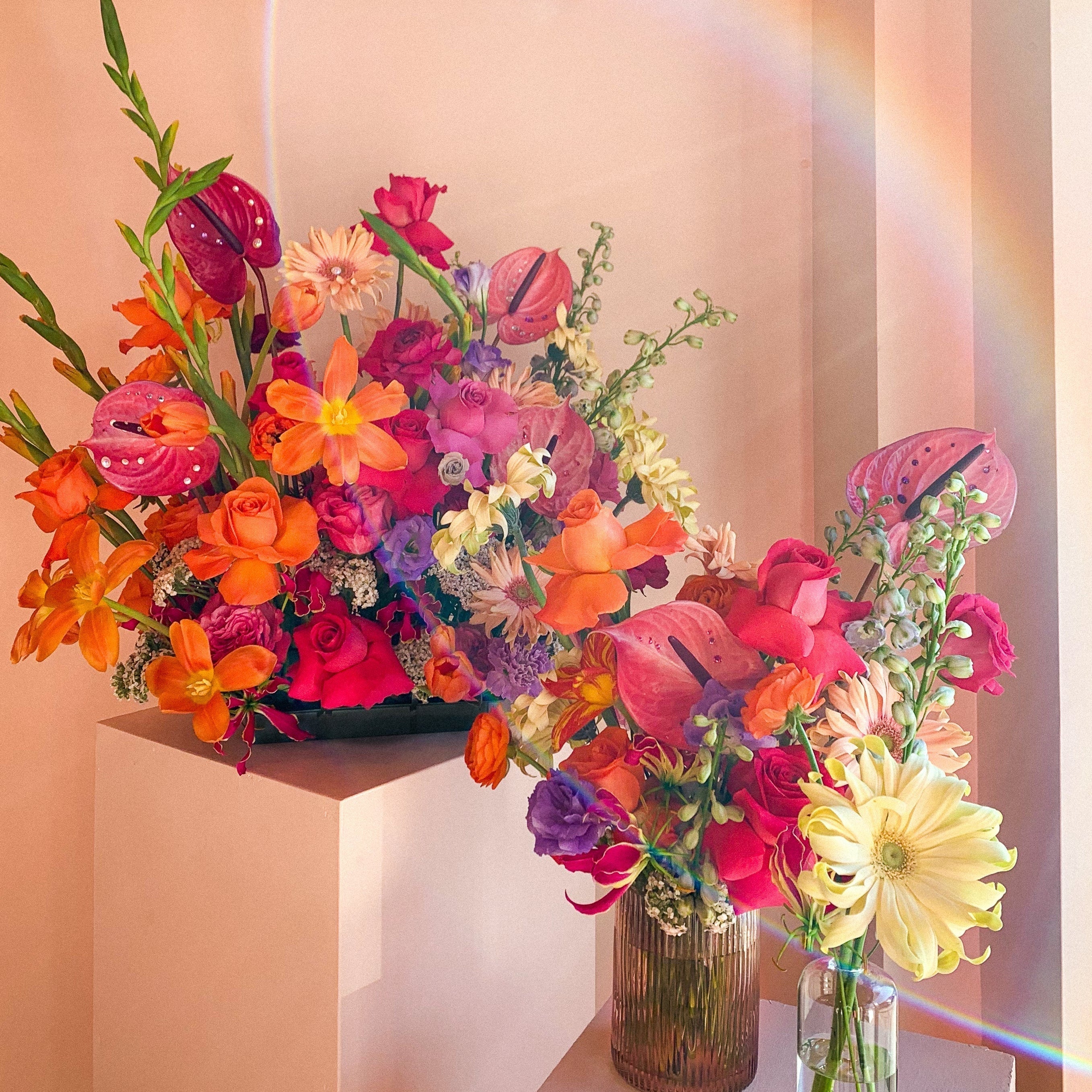 UTA for Ariel Dannielle