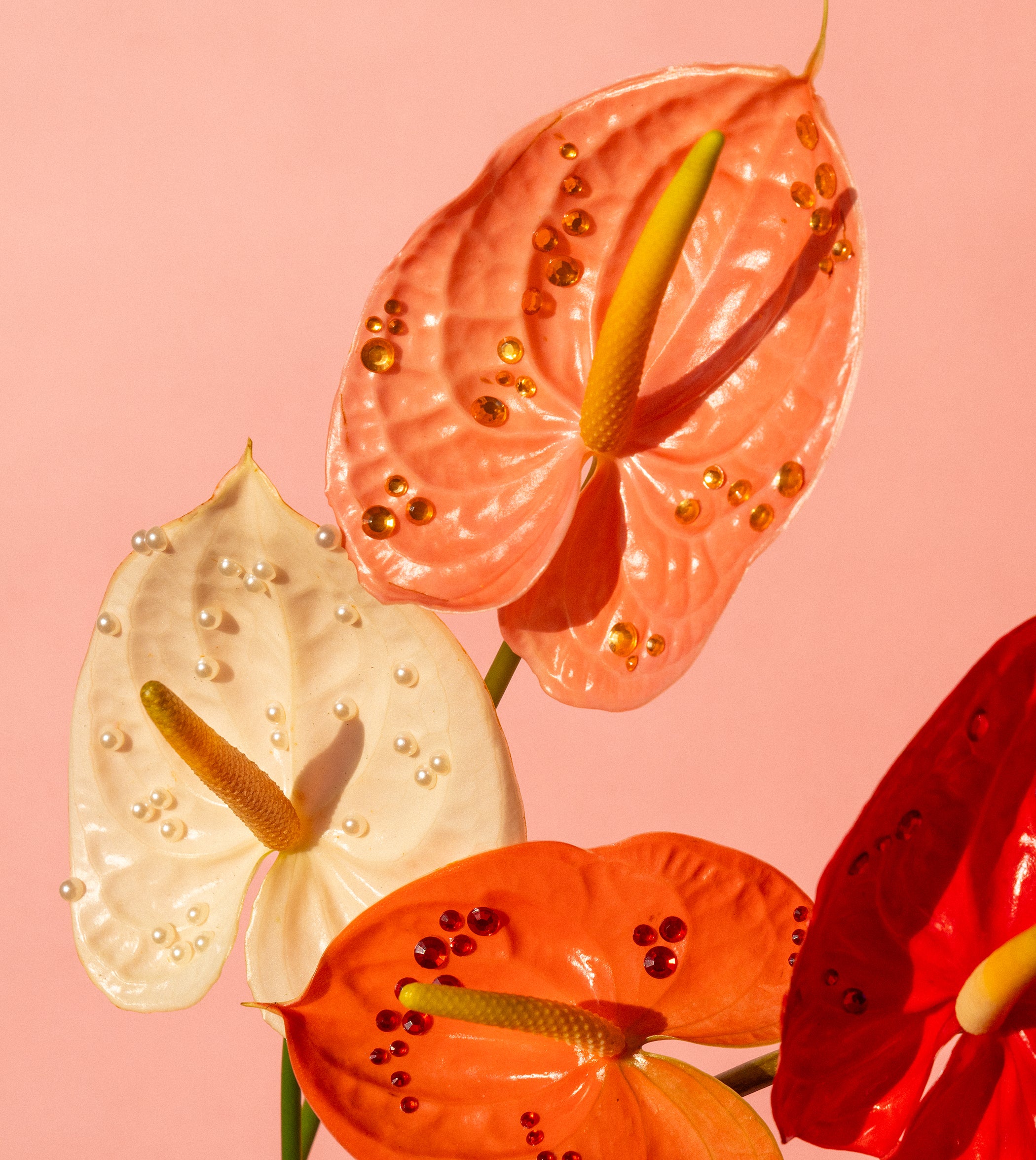 Contact Us – JJ's Flower Shop