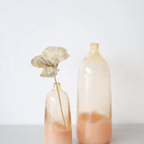 Lola Peach Ombre Budvase