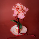 24 Rose Wrapped Bouquet