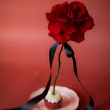 24 Rose Wrapped Bouquet