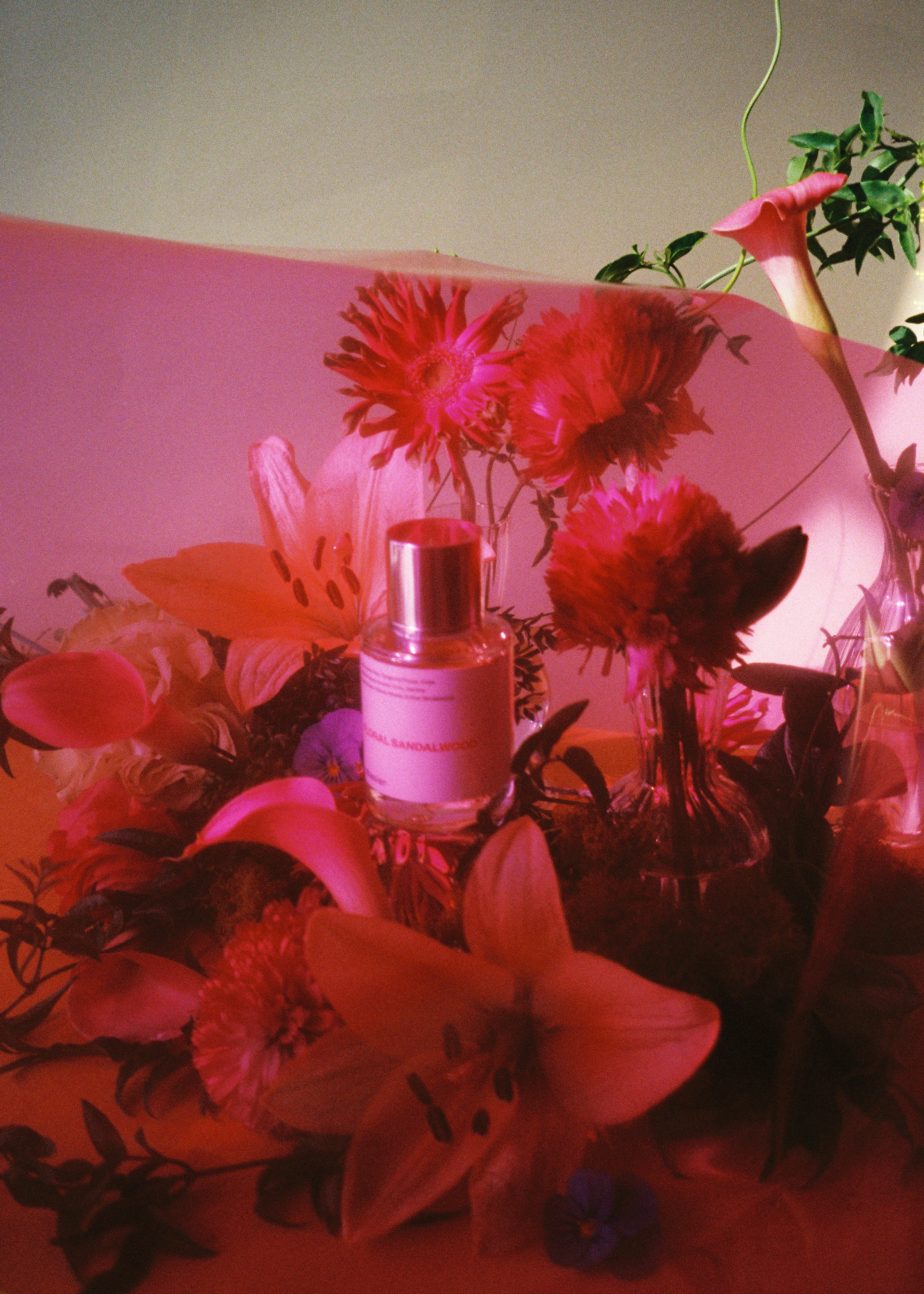 Dossier Floral Sandalwood Perfume – JJ's Flower Shop